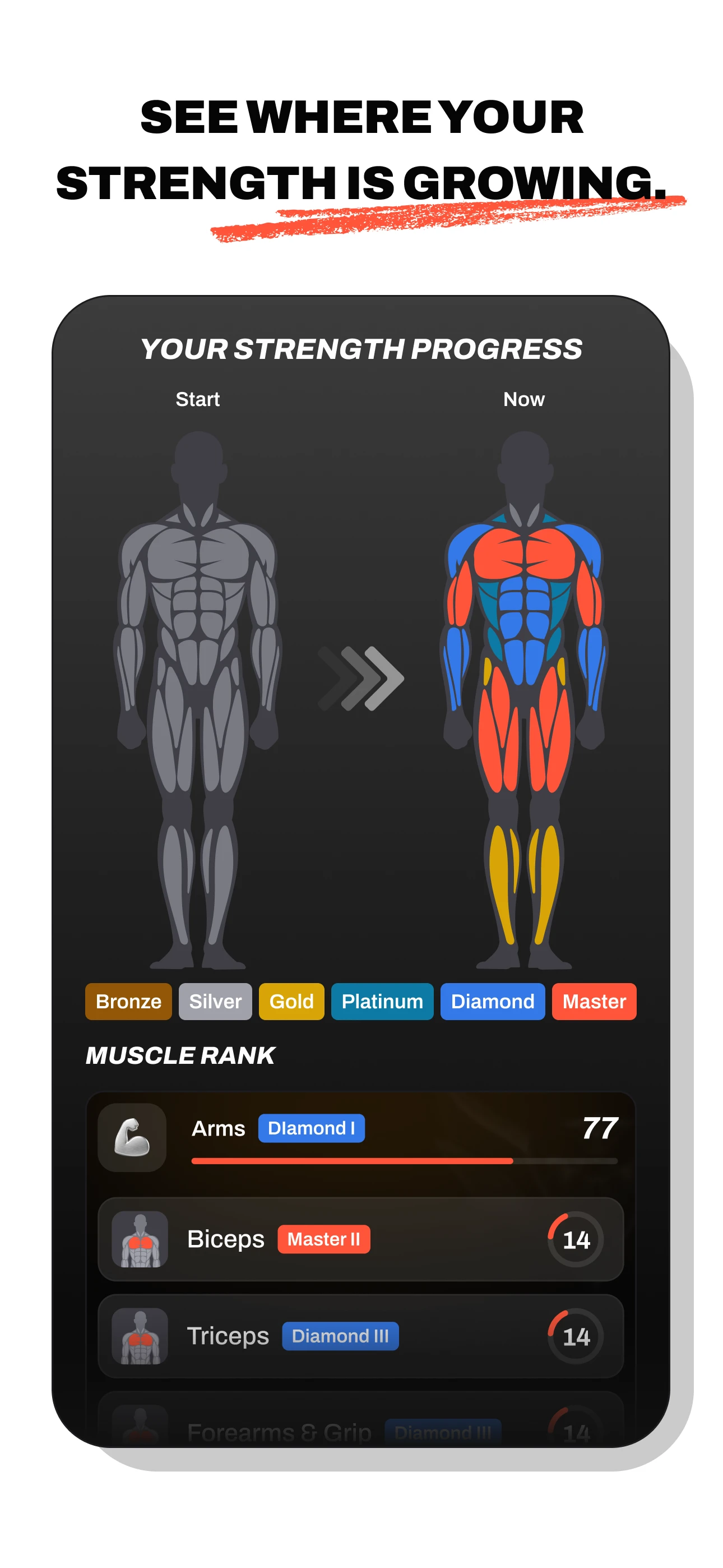 Handler muscle progress visualization and strength tracking screen.